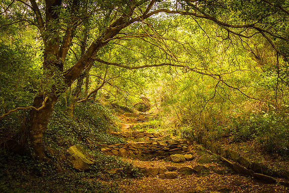 Waterfall Gully Tunnel